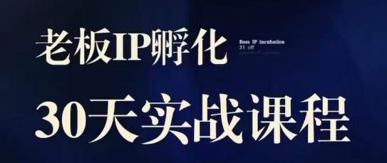 诸葛·2023老板IP实战课,实体同城引流获客,IP孵化必听| 鹿鸣网创