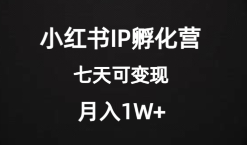 价值2000+的小红书IP孵化营项目,超级大蓝海,七天即可开始变现,稳定月入1W+| 鹿鸣网创