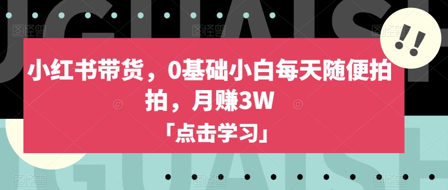 小红书带货，0基础小白每天随便拍拍，月赚3W【揭秘】| 鹿鸣网创