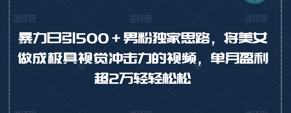 暴力日引500+男粉独家思路,将美女做成极具视觉冲击力的视频,单月盈利超2万轻轻松松| 鹿鸣网创