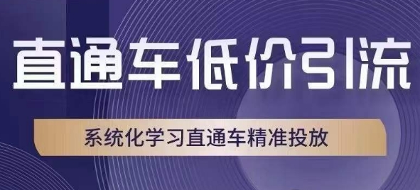 直通车低价引流课,系统化学习直通车精准投放| 鹿鸣网创