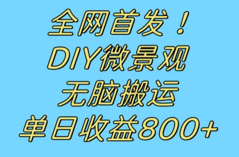 全网首发冷门赛道!DIY微景观,无脑搬运视频,日收益800+【揭秘】| 鹿鸣网创