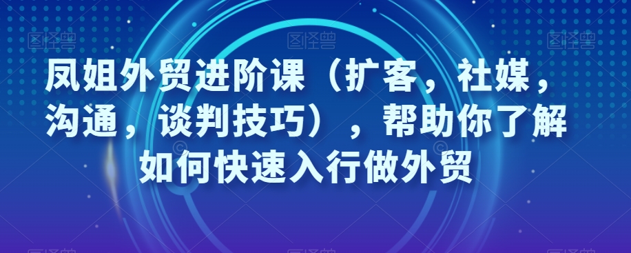 凤姐外贸进阶课(扩客,社媒,沟通,谈判技巧),帮助你了解如何快速入行做外贸| 鹿鸣网创