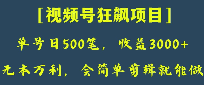 日收款500笔,纯利润3000+,视频号狂飙项目,会简单剪辑就能做【揭秘】| 鹿鸣网创