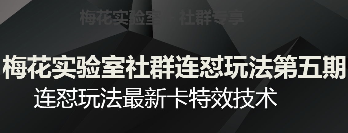 梅花实验室社群连怼玩法第五期，视频号连怼玩法最新卡特效技术| 鹿鸣网创