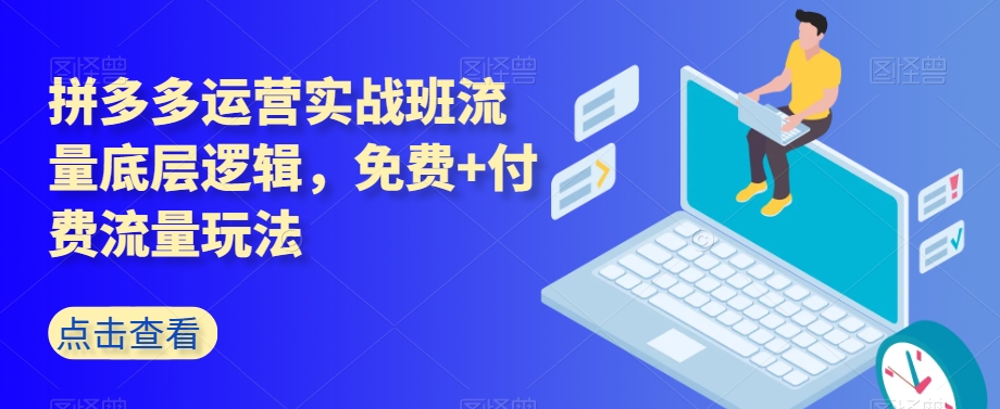 拼多多运营实战班流量底层逻辑，免费+付费流量玩法| 鹿鸣网创