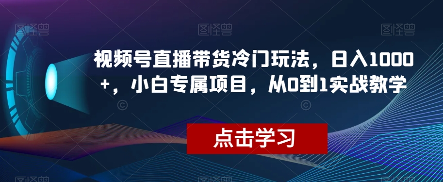 视频号直播带货冷门玩法，日入1000+，小白专属项目，从0到1实战教学【揭秘】| 鹿鸣网创