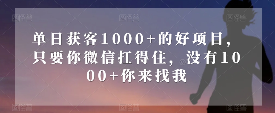 单日获客1000+的好项目，只要你微信扛得住，没有1000+你来找我【揭秘】| 鹿鸣网创