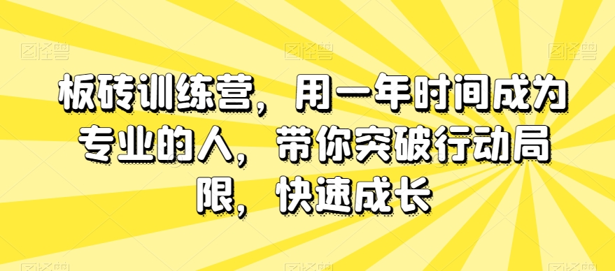 板砖训练营,用一年时间成为专业的人,带你突破行动局限,快速成长| 鹿鸣网创