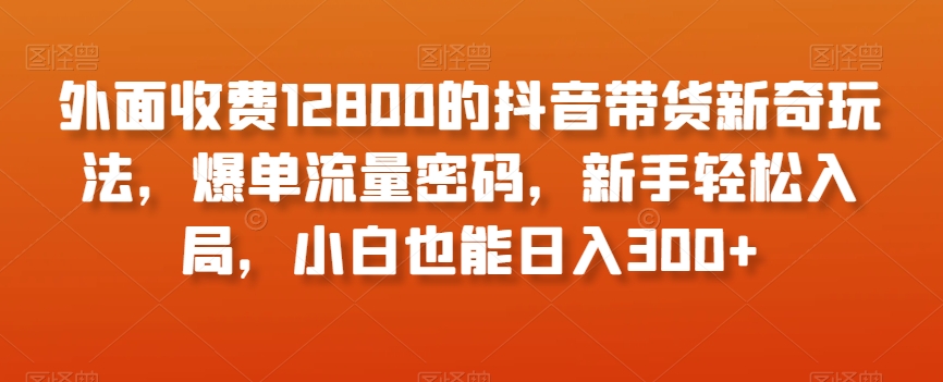 外面收费12800的抖音带货新奇玩法，爆单流量密码，新手轻松入局，小白也能日入300+【揭秘】| 鹿鸣网创