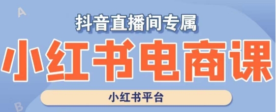 小红书电商高级运营课程，实操教学+案例分析| 鹿鸣网创