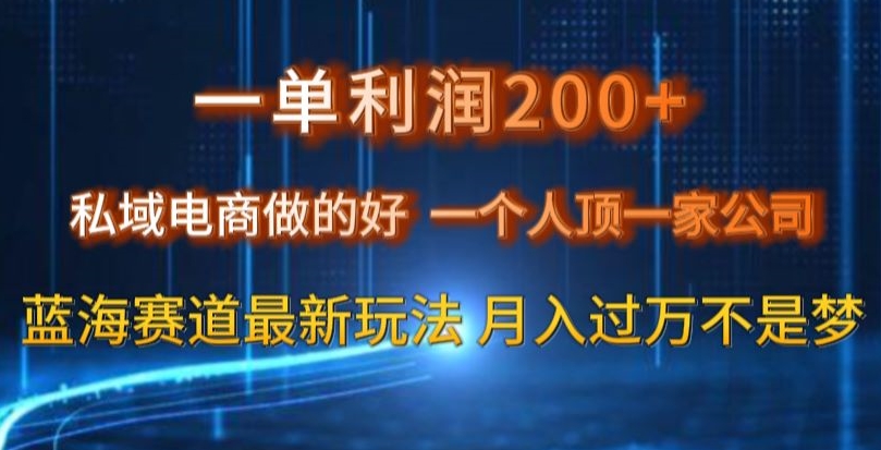 一单利润200私域电商做的好，一个人顶一家公司蓝海赛道最新玩法【揭秘】| 鹿鸣网创