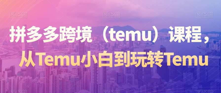 拼多多跨境（temu）课程，从Temu小白到玩转Temu| 鹿鸣网创