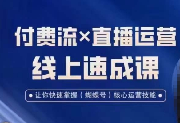 视频号付费流实操课程,付费流✖️直播运营速成课,让你快速掌握视频号核心运营技能| 鹿鸣网创
