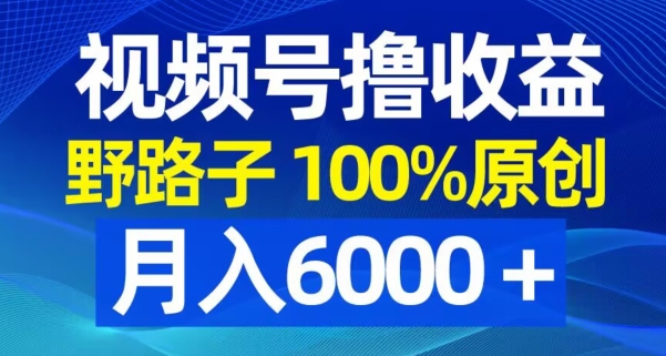 视频号野路子撸收益，100%原创，条条爆款，月入6000＋【揭秘】| 鹿鸣网创