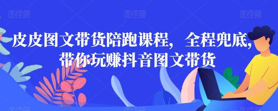 皮皮图文带货陪跑课程,全程兜底,带你玩赚抖音图文带货| 鹿鸣网创