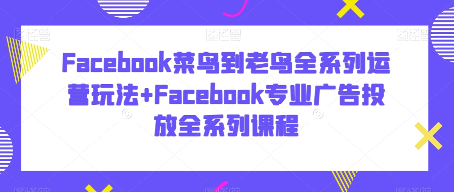 Facebook菜鸟到老鸟全系列运营玩法+Facebook专业广告投放全系列课程| 鹿鸣网创