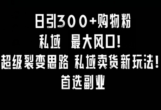 日引300+购物粉,超级裂变思路,私域卖货新玩法,小红书首选副业【揭秘】| 鹿鸣网创