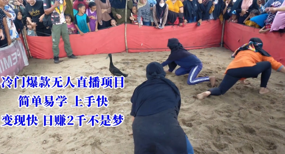 冷门爆款无人直播项目，简单易学上手快，变现快日赚2千不是梦【揭秘】| 鹿鸣网创