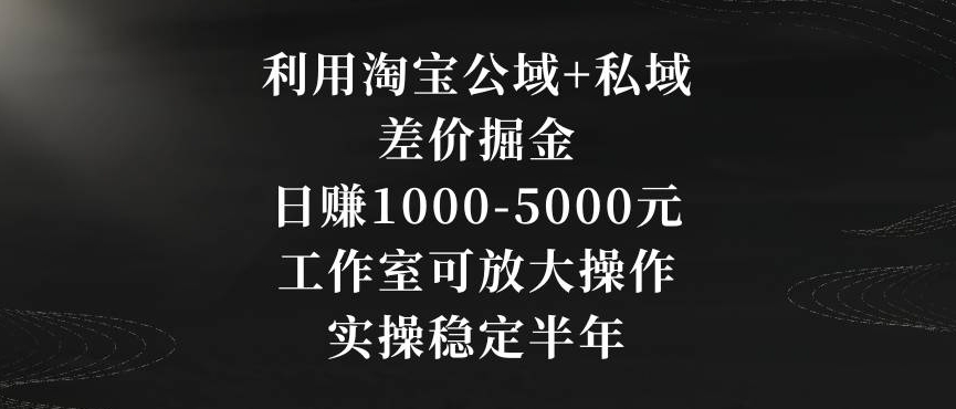 利用淘宝公域+私域差价掘金，日赚1000-5000元，工作室可放大操作，实操稳定半年【揭秘】| 鹿鸣网创