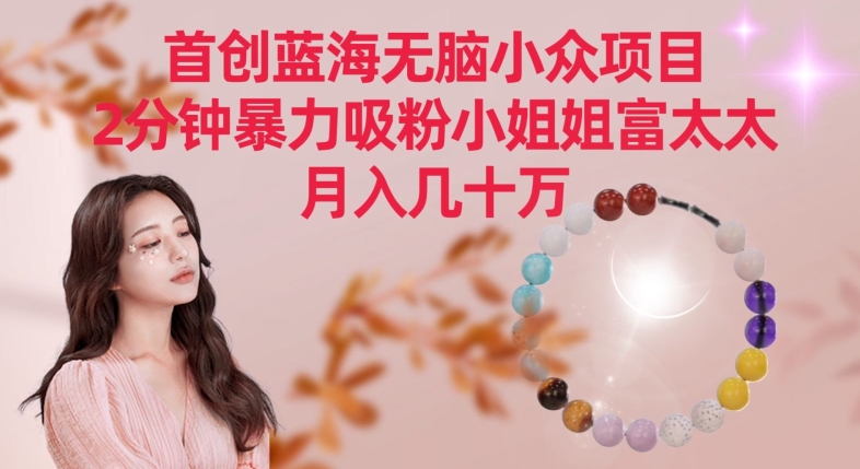 首创蓝海无脑小众项目，2分钟暴力吸粉小姐姐富太太，月入几十万【揭秘】| 鹿鸣网创