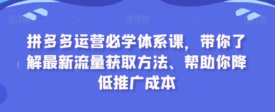 拼多多运营必学体系课，带你了解最新流量获取方法、帮助你降低推广成本| 鹿鸣网创