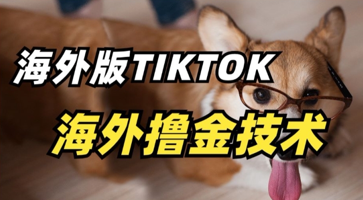 抖音海外版tiktok撸金技术，这个风口行业，赚钱真的不难【揭秘】| 鹿鸣网创