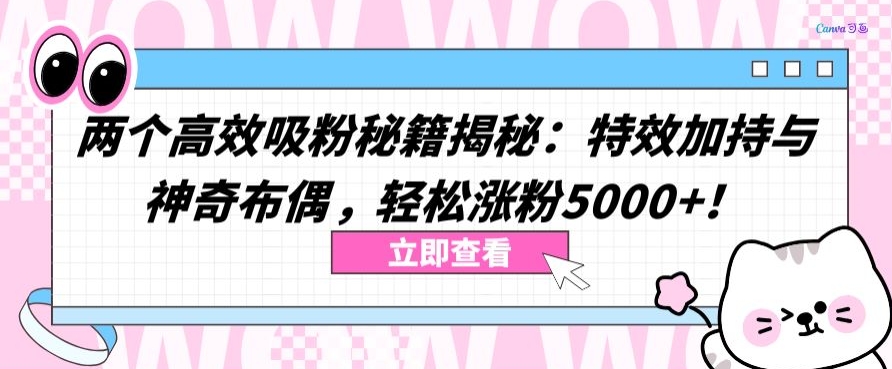 两个高效吸粉秘籍揭秘：特效加持与神奇布偶，轻松涨粉5000+【揭秘】| 鹿鸣网创