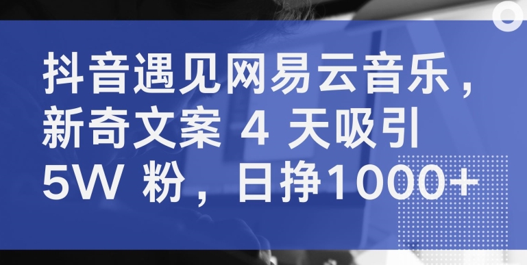 抖音遇见网易云音乐，新奇文案 4 天吸引 5W 粉，日挣1000+【揭秘】| 鹿鸣网创