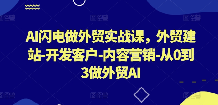 AI闪电做外贸实战课,外贸建站-开发客户-内容营销-从0到3做外贸AI| 鹿鸣网创
