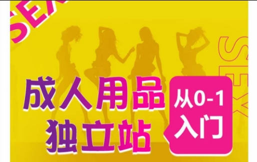 成人用品独立站从0-1入门,成品独立站运营全流程教学,七大好卖成品独立站推荐| 鹿鸣网创