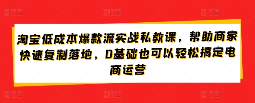 淘宝低成本爆款流实战私教课，帮助商家快速复制落地，0基础也可以轻松搞定电商运营| 鹿鸣网创