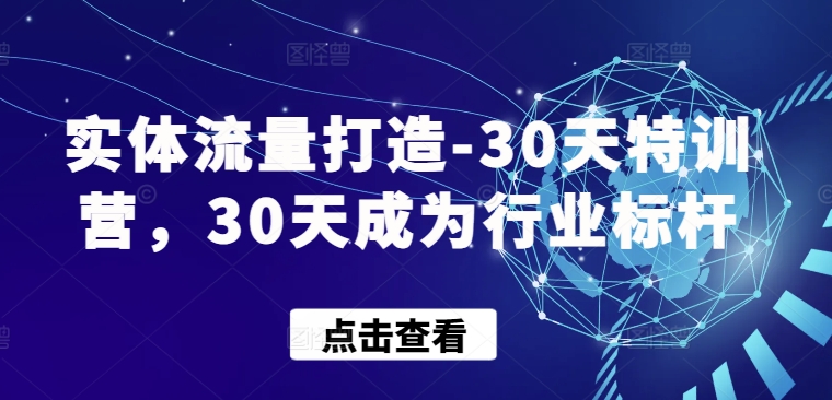 实体流量打造-30天特训营,30天成为行业标杆| 鹿鸣网创