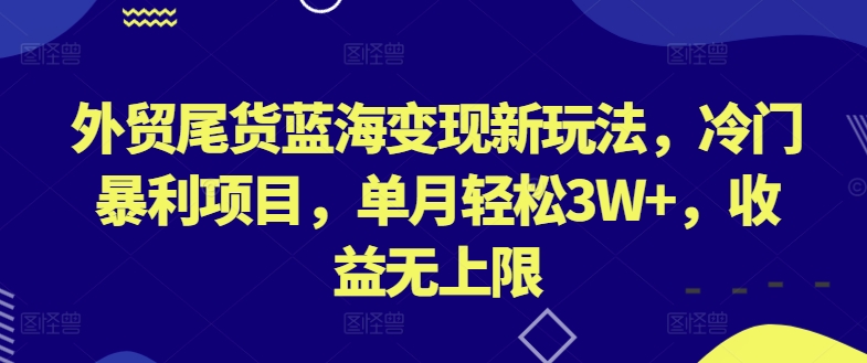 外贸尾货蓝海变现新玩法,冷门暴利项目,单月轻松3W+,收益无上限【揭秘】| 鹿鸣网创