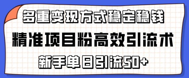 精准项目粉高效引流术，新手单日引流50+，多重变现方式稳定赚钱【揭秘】| 鹿鸣网创