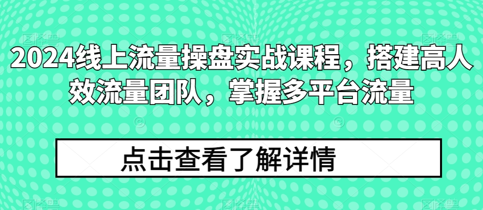 2024线上流量操盘实战课程,搭建高人效流量团队,掌握多平台流量| 鹿鸣网创
