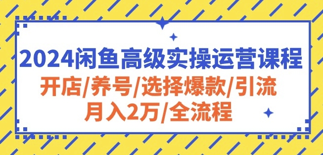 2024闲鱼高级实操运营课程:开店/养号/选择爆款/引流/月入2万/全流程| 鹿鸣网创