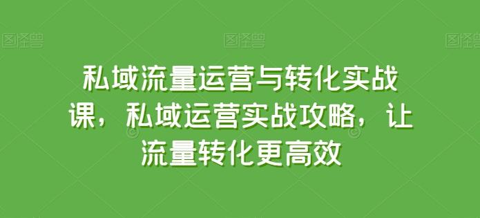 私域流量运营与转化实战课，私域运营实战攻略，让流量转化更高效| 鹿鸣网创