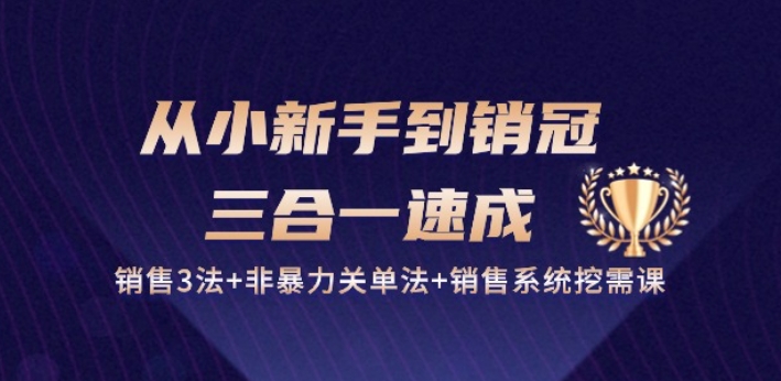 从小新手到销冠 三合一速成：销售3法+非暴力关单法+销售系统挖需课 (27节)| 鹿鸣网创