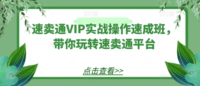 速卖通VIP实战操作速成班,带你玩转速卖通平台| 鹿鸣网创