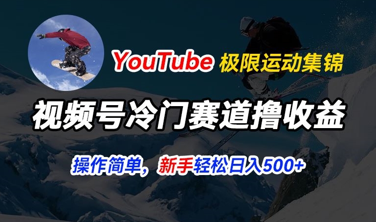 视频号冷门赛道撸收益,YouTube搬运极限运动集锦,暴力起号,操作简单流量高,轻松日入5张【揭秘】| 鹿鸣网创