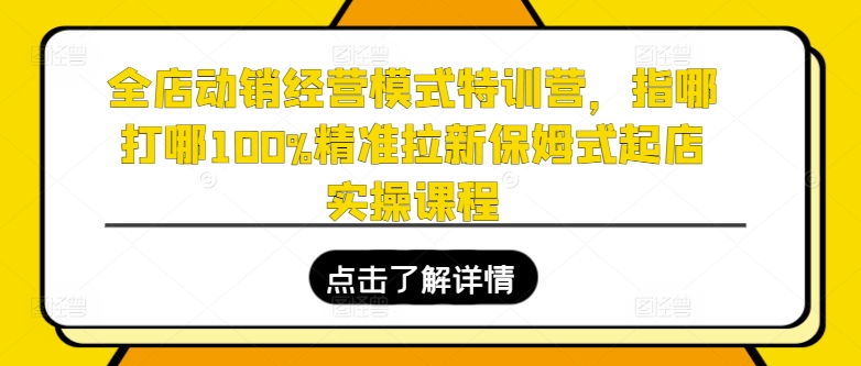 全店动销经营模式特训营,指哪打哪100%精准拉新保姆式起店实操课程| 鹿鸣网创