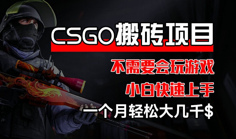 CSGO 装备搬砖项目,操作简单,不需要会玩游戏,小白也能快速上手,一个月轻松大几千【揭秘】| 鹿鸣网创