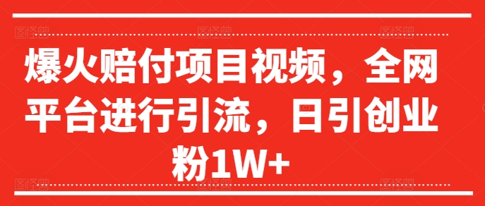 爆火赔付项目视频，全网平台进行引流，日引创业粉1W+【揭秘】| 鹿鸣网创