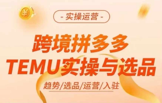 跨境拼多多TEMU实操与选品，多多temu跨境选品运营实操| 鹿鸣网创
