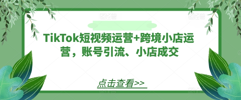 TikTok短视频运营+跨境小店运营,账号引流、小店成交| 鹿鸣网创