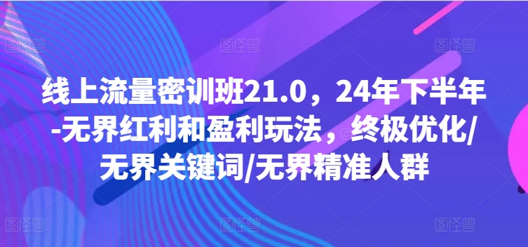 线上流量密训班21.0,24年下半年-无界红利和盈利玩法,终极优化/无界关键词/无界精准人群| 鹿鸣网创