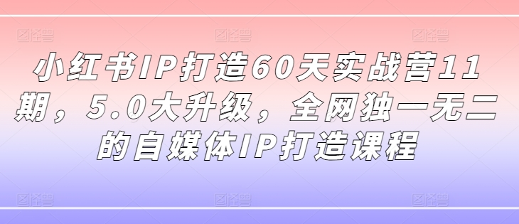 小红书IP打造60天实战营11期,5.0大升级,全网独一无二的自媒体IP打造课程| 鹿鸣网创