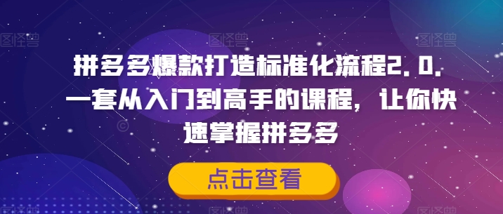 拼多多爆款打造标准化流程2.0,一套从入门到高手的课程,让你快速掌握拼多多| 鹿鸣网创