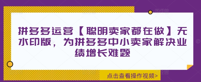 拼多多运营【聪明卖家都在做】无水印版,为拼多多中小卖家解决业绩增长难题| 鹿鸣网创